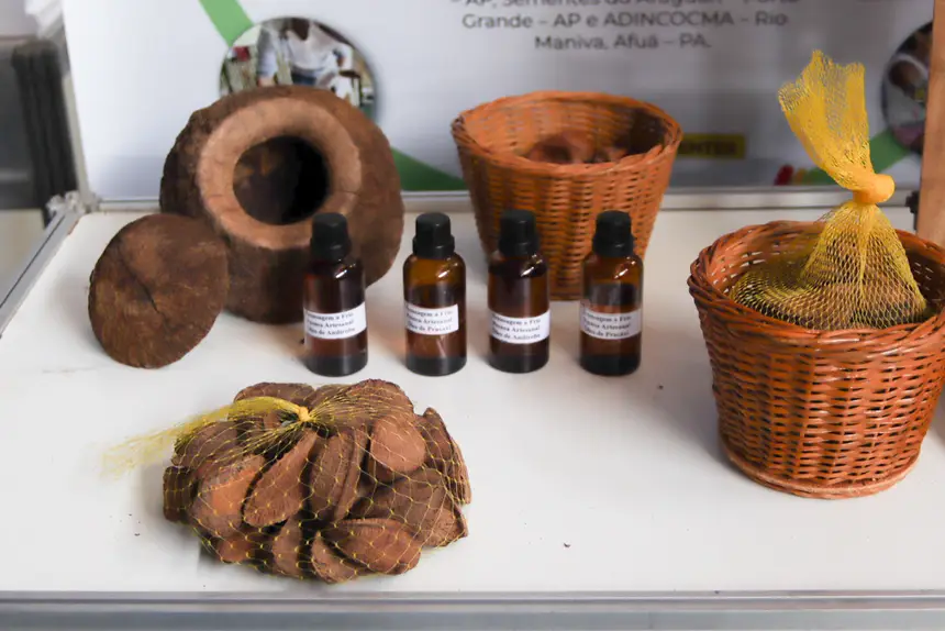  <div class='credito_fotos'>Foto: Adriano Monteiro/GEA   |   <a href='/midias/2025/originais/20251021135010-GF00016618-F00207956.webp' download><i class='fa-solid fa-download'></i> Download</a></div>