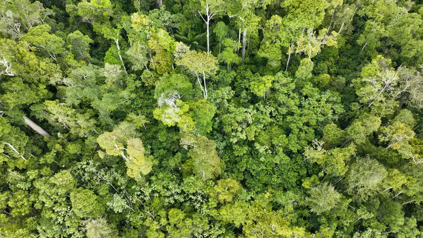 Crédito: Divulgação/Sema