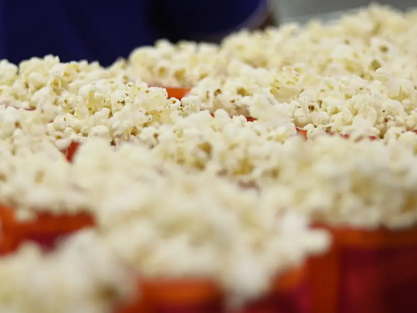  <div class='credito_fotos'>Foto: Jorge Júnior/GEA   |   <a href='/midias/2025/originais/20251103105650-GF00016637-F00208369.webp' download><i class='fa-solid fa-download'></i> Download</a></div>