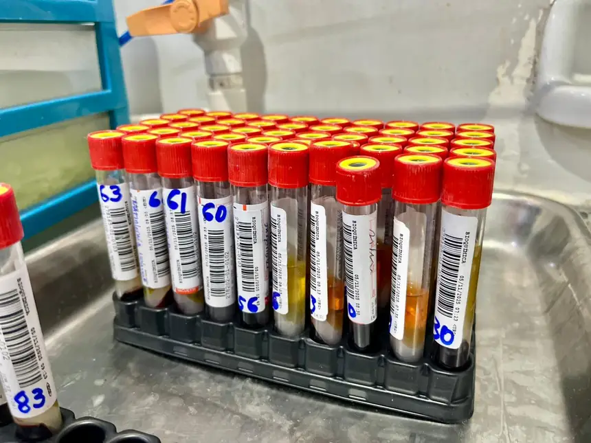  <div class='credito_fotos'>Foto: Gabriel Maciel/Sesa   |   <a href='/midias/2025/originais/20251106105804-GF00016646-F00208569.webp' download><i class='fa-solid fa-download'></i> Download</a></div>