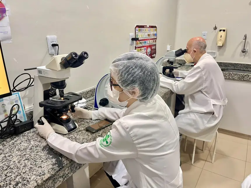  <div class='credito_fotos'>Foto: Gabriel Maciel/Sesa   |   <a href='/midias/2025/originais/20251106105805-GF00016646-F00208570.webp' download><i class='fa-solid fa-download'></i> Download</a></div>