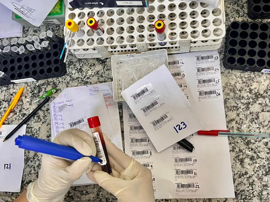  <div class='credito_fotos'>Foto: Gabriel Maciel/Sesa   |   <a href='/midias/2025/originais/20251106105808-GF00016646-F00208572.webp' download><i class='fa-solid fa-download'></i> Download</a></div>