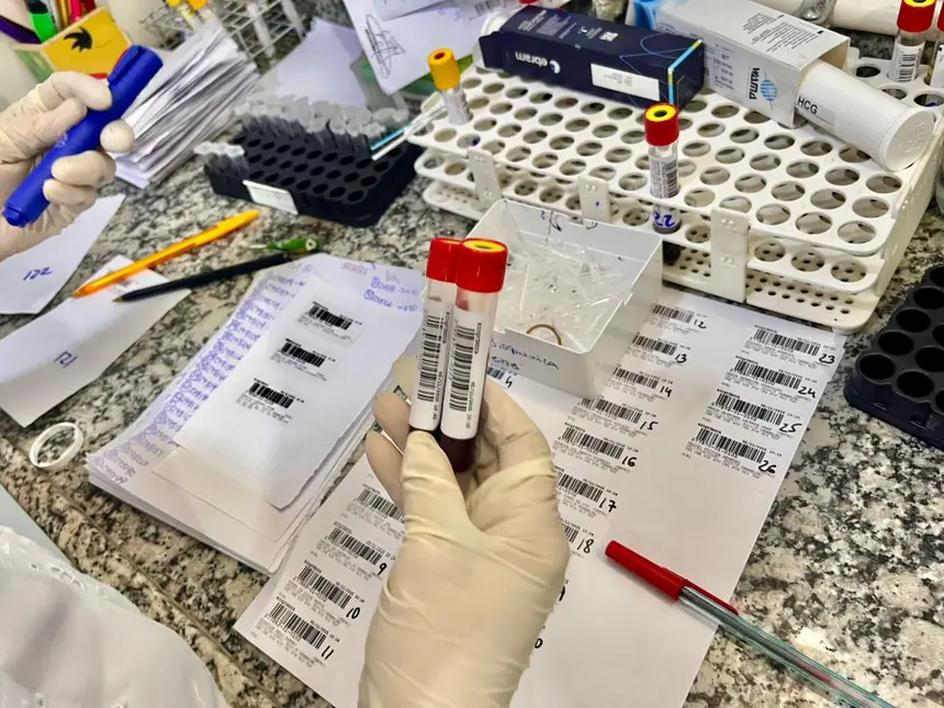  <div class='credito_fotos'>Foto: Gabriel Maciel/Sesa   |   <a href='/midias/2025/originais/20251106105810-GF00016646-F00208574.webp' download><i class='fa-solid fa-download'></i> Download</a></div>