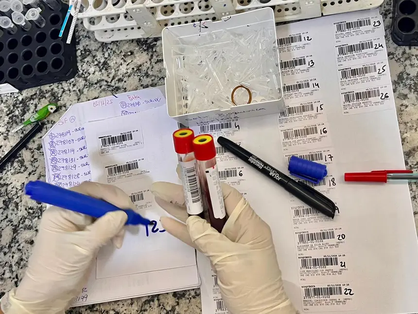  <div class='credito_fotos'>Foto: Gabriel Maciel/Sesa   |   <a href='/midias/2025/originais/20251106105812-GF00016646-F00208575.webp' download><i class='fa-solid fa-download'></i> Download</a></div>