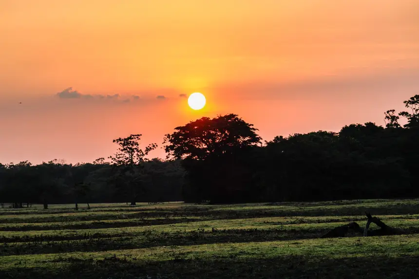  <div class='credito_fotos'>Foto: Aog Rocha/GEA   |   <a href='/midias/2025/originais/20251106143036-GF00016650-F00208644.webp' download><i class='fa-solid fa-download'></i> Download</a></div>