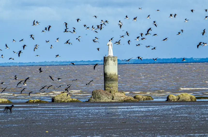  <div class='credito_fotos'>Foto: Aog Rocha/GEA   |   <a href='/midias/2025/originais/20251106143039-GF00016650-F00208647.webp' download><i class='fa-solid fa-download'></i> Download</a></div>