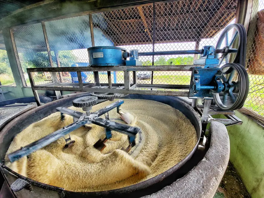  <div class='credito_fotos'>Foto: Jorge Júnior/GEA   |   <a href='/midias/2025/originais/20251106143304-GF00016651-F00208655.webp' download><i class='fa-solid fa-download'></i> Download</a></div>