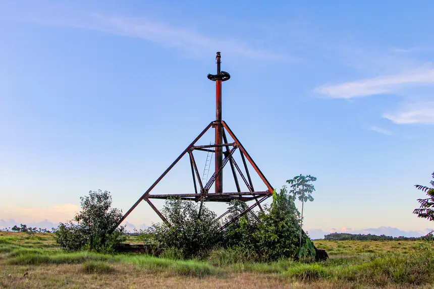  <div class='credito_fotos'>Foto: Márcia do Carmo/GEA   |   <a href='/midias/2025/originais/20251106143535-GF00016652-F00208666.webp' download><i class='fa-solid fa-download'></i> Download</a></div>