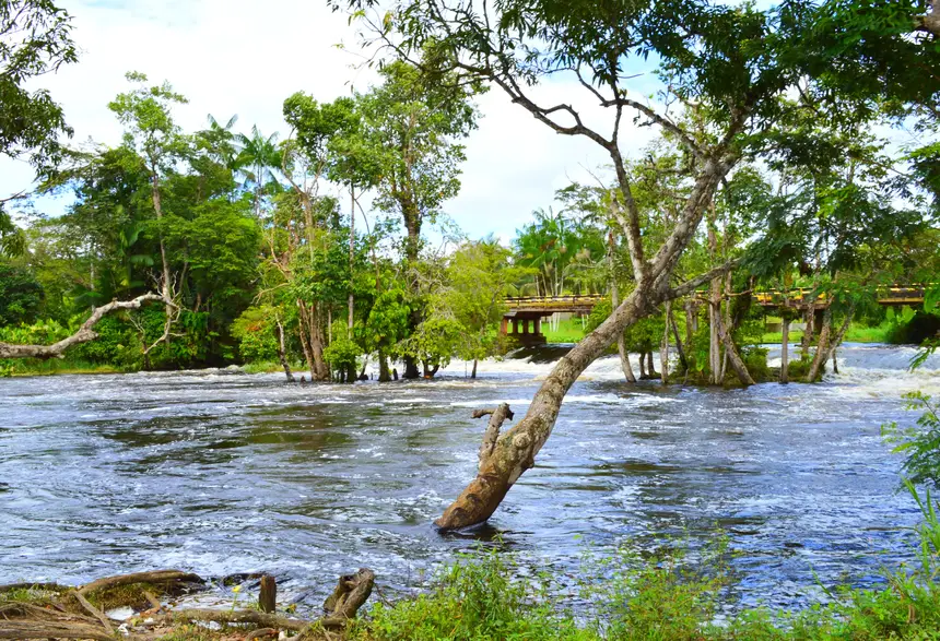  <div class='credito_fotos'>Foto: Jhon Martins/GEA   |   <a href='/midias/2025/originais/20251106144828-GF00016653-F00208688.webp' download><i class='fa-solid fa-download'></i> Download</a></div>