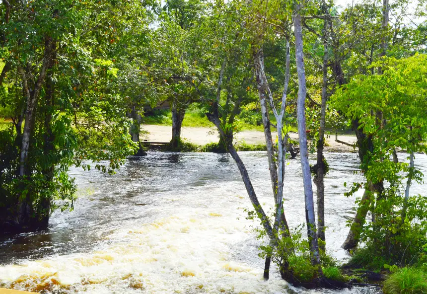  <div class='credito_fotos'>Foto: Jhon Martins/GEA   |   <a href='/midias/2025/originais/20251106144830-GF00016653-F00208689.webp' download><i class='fa-solid fa-download'></i> Download</a></div>