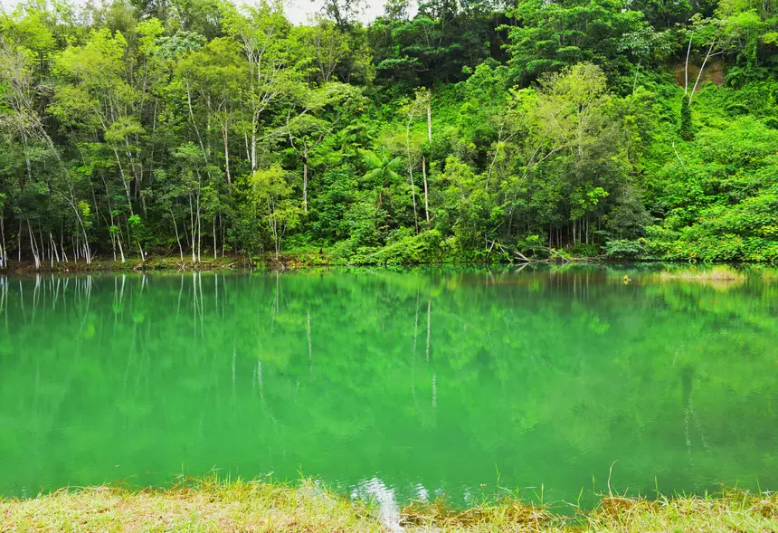  <div class='credito_fotos'>Foto: Jhon Martins/GEA   |   <a href='/midias/2025/originais/20251106144832-GF00016653-F00208690.webp' download><i class='fa-solid fa-download'></i> Download</a></div>