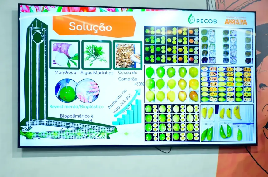  <div class='credito_fotos'>Foto: Max Renê/GEA   |   <a href='/midias/2025/originais/20251110170542-GF00016665-F00208951.webp' download><i class='fa-solid fa-download'></i> Download</a></div>