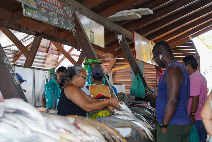  <div class='credito_fotos'>Foto: Lidiane Lima/GEA   |   <a href='/midias/2025/originais/20251114112351-GF00016686-F00209418.webp' download><i class='fa-solid fa-download'></i> Download</a></div>