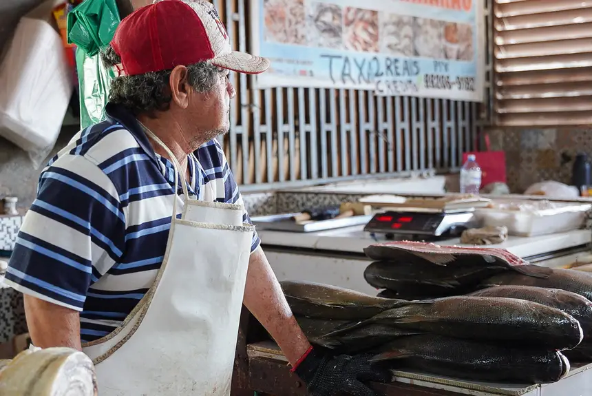  <div class='credito_fotos'>Foto: Lidiane Lima/GEA   |   <a href='/midias/2025/originais/20251114112353-GF00016686-F00209420.webp' download><i class='fa-solid fa-download'></i> Download</a></div>