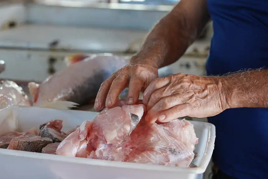  <div class='credito_fotos'>Foto: Lidiane Lima/GEA   |   <a href='/midias/2025/originais/20251114112356-GF00016686-F00209422.webp' download><i class='fa-solid fa-download'></i> Download</a></div>