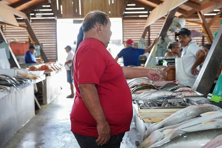  <div class='credito_fotos'>Foto: Lidiane Lima/GEA   |   <a href='/midias/2025/originais/20251114112358-GF00016686-F00209424.webp' download><i class='fa-solid fa-download'></i> Download</a></div>