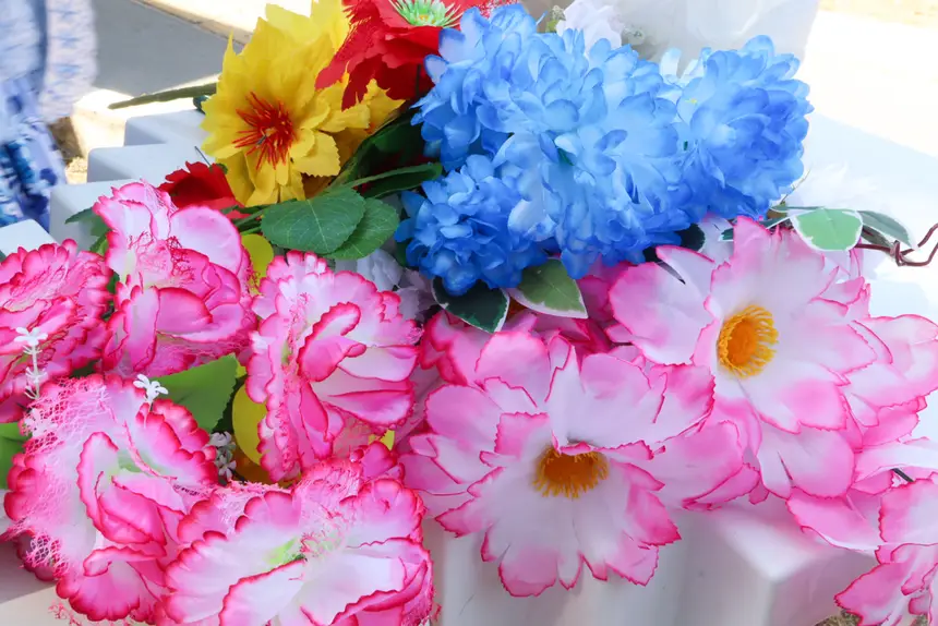  <div class='credito_fotos'>Foto: Adriano Monteiro/GEA   |   <a href='/midias/2025/originais/20251118120745-GF00016699-F00209807.webp' download><i class='fa-solid fa-download'></i> Download</a></div>