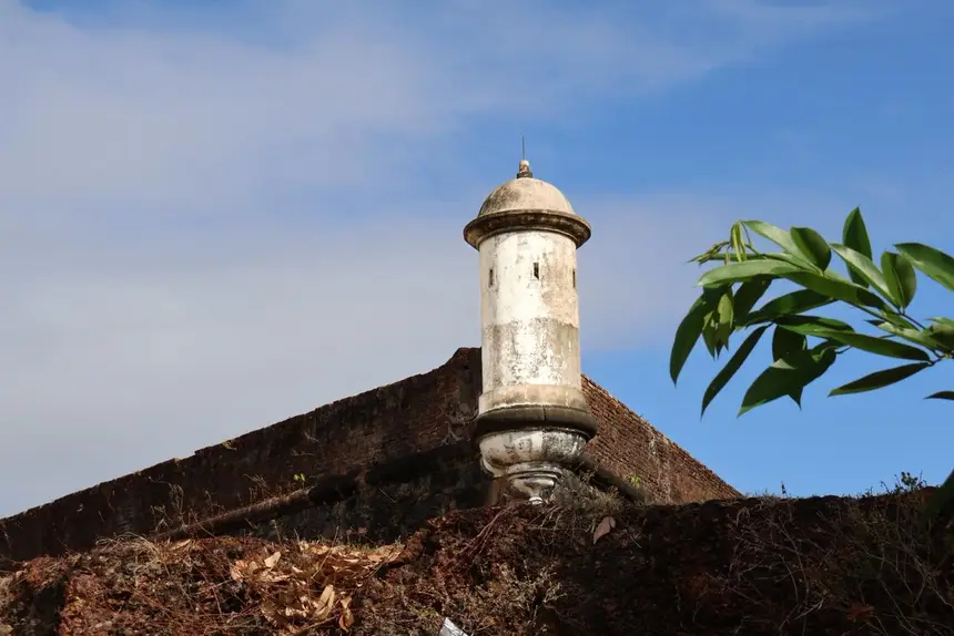  <div class='credito_fotos'>Foto: Nayana Magalhães/GEA   |   <a href='/midias/2025/originais/20251127103252-GF00016737-F00211079.webp' download><i class='fa-solid fa-download'></i> Download</a></div>