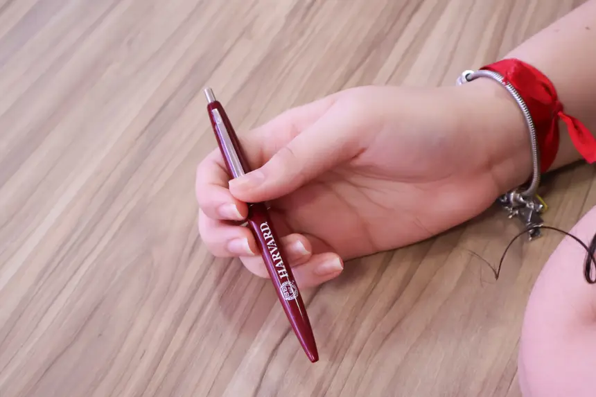  <div class='credito_fotos'>Foto: Nayana Magalhães/GEA &nbsp;&nbsp;|&nbsp;&nbsp; <a href='/midias/2025/originais/20251209094623-GF00016760-F00211835.webp' download><i class='fa-solid fa-download'></i> Download</a></div>