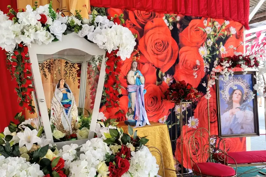  <div class='credito_fotos'>Foto: Márcia do Carmo/GEA &nbsp;&nbsp;|&nbsp;&nbsp; <a href='/midias/2025/originais/20251209101518-GF00016762-F00211930.webp' download><i class='fa-solid fa-download'></i> Download</a></div>