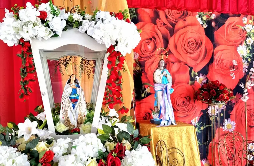  <div class='credito_fotos'>Foto: Márcia do Carmo/GEA &nbsp;&nbsp;|&nbsp;&nbsp; <a href='/midias/2025/originais/20251209101522-GF00016762-F00211933.webp' download><i class='fa-solid fa-download'></i> Download</a></div>