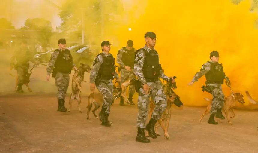  <div class='credito_fotos'>Foto: Gabriel Penha/Fundação Marabaixo   |   <a href='/midias/2025/originais/20251209105217-GF00016763-F00211959.webp' download><i class='fa-solid fa-download'></i> Download</a></div>