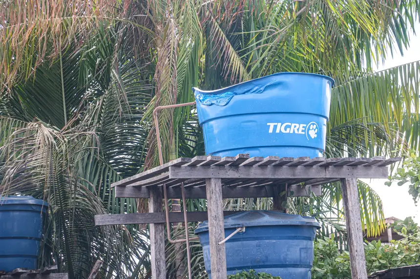  <div class='credito_fotos'>Foto: Aog Rocha/GEA &nbsp;&nbsp;|&nbsp;&nbsp; <a href='/midias/2025/originais/20251226154519-GF00016786-F00212624.webp' download><i class='fa-solid fa-download'></i> Download</a></div>