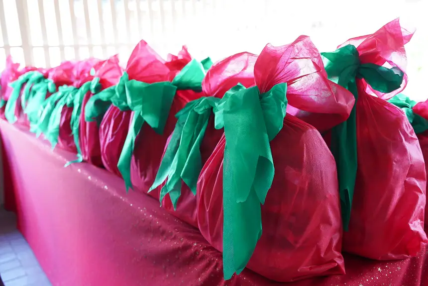  <div class='credito_fotos'>Foto: Lidiane Lima/GEA &nbsp;&nbsp;|&nbsp;&nbsp; <a href='/midias/2025/originais/20251226170843-GF00016803-F00213056.webp' download><i class='fa-solid fa-download'></i> Download</a></div>