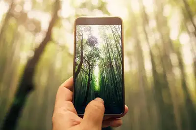 notícia: 'Conexão Amazônia': Amapá sedia encontro que conecta municípios para desenvolvimento da Amazônia Legal; inscrições abertas
