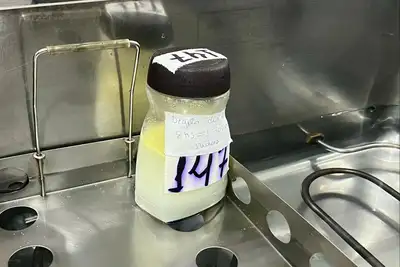 Foto: Gabriel Maciel/Sesa Só após aprovação microbiológica, o leite é liberado para o consumo