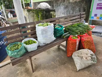 notícia: Governo do Estado promove Feira da Agricultura Familiar, em Laranjal do Jari 