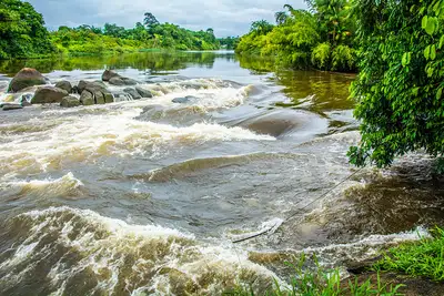 notícia: Governo do Estado avança na construção do Plano Diretor da Bacia Hidrográfica do Rio Araguari