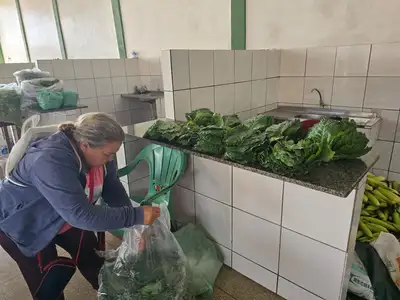 notícia: Governo do Amapá fortalece agricultura familiar com aquisição de 10 toneladas de alimentos em Tartarugalzinho