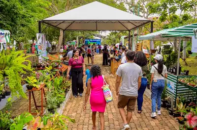 notícia: Museu Sacaca comemora 23 anos de exposição a céu aberto em Macapá com programação cultural e passeio ciclístico