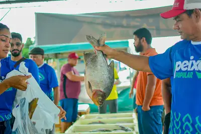 notícia: Peixe Popular: Governo do Amapá oferta mais 20 espécies de pescado com preços de R$ 12 a R$ 25 o quilo, em cinco pontos de Macapá
