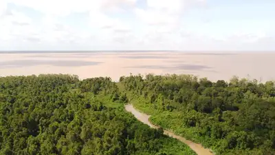 notícia: Governo do Amapá realiza expedição científica na reserva Biológica do Parazinho, no arquipélago do Bailique