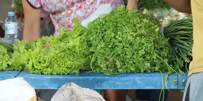 galeria: Governo do Amapá atende 740 Famílias nos Residenciais Nelson dos Anjos e Açucena - Entrega de Alimentos Verde