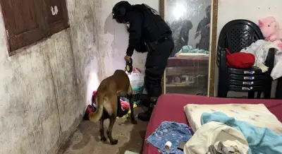 notícia: Polícia Civil do Amapá cumpre mandados contra pessoas envolvidas em homicídios ordenados por grupos criminosos
