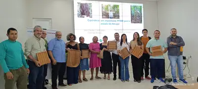 notícia: Governo do Amapá articula manejo sustentável do cipó-titica para comercialização nacional
