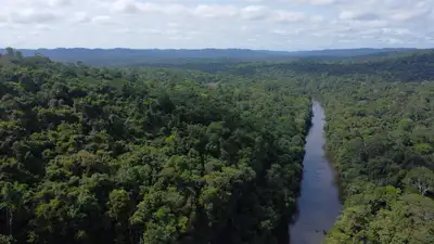 notícia: Governo do Amapá avança na conservação das florestas e realiza capacitação sobre mercado jurisdicional de carbono