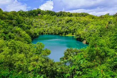 notícia: Governo do Amapá lança campanha 'Junho Verde 2025' com ampla programação e avanços na agenda ambiental