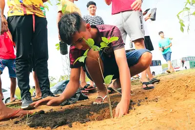 notícia: Em parceria com Ibama, Governo do Amapá celebra Dia Mundial do Meio Ambiente com plantio de 500 mudas por estudantes