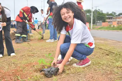 Galeria: Dia Mundial do Meio Ambiente