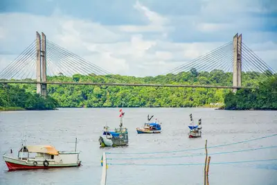notícia: Mês do Pescador: Governo do Amapá inicia programação festiva em homenagem aos pescadores do estado. 