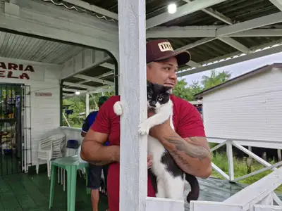 notícia: 'Sinto que eles estão mais seguros e protegidos' diz morador ao receber assistência para os felinos, durante ação do Governo do Amapá