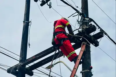 notícia: 54ª Expofeira: Governo do Amapá alinha ações preventivas para garantir energia de qualidade na maior vitrine de negócios da Amazônia