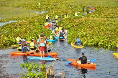 notícia: ‘Um Dia no Parque: Governo do Amapá celebra edição 2025 de movimento nacional com programação especial em Macapá 