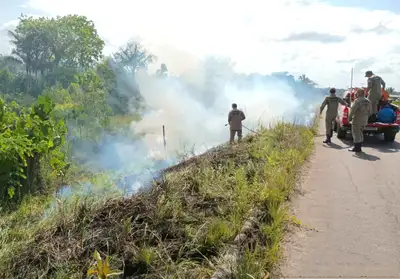 notícia: Amapá Verde: Governo do Amapá intensifica intensifica ações contra queimadas e incêndios florestais