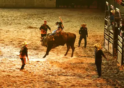 notícia: Adrenalina e emoção marcam etapa estadual do rodeio na abertura da 54ª Expofeira do Amapá 