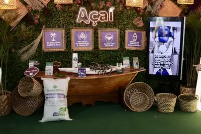 notícia: 54ª Expofeira do Amapá: pavilhão da 1ª ExpoAmazônia apresenta espaço dedicado para cadeia produtiva do açaí
